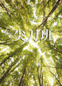 一区二区亚洲精品